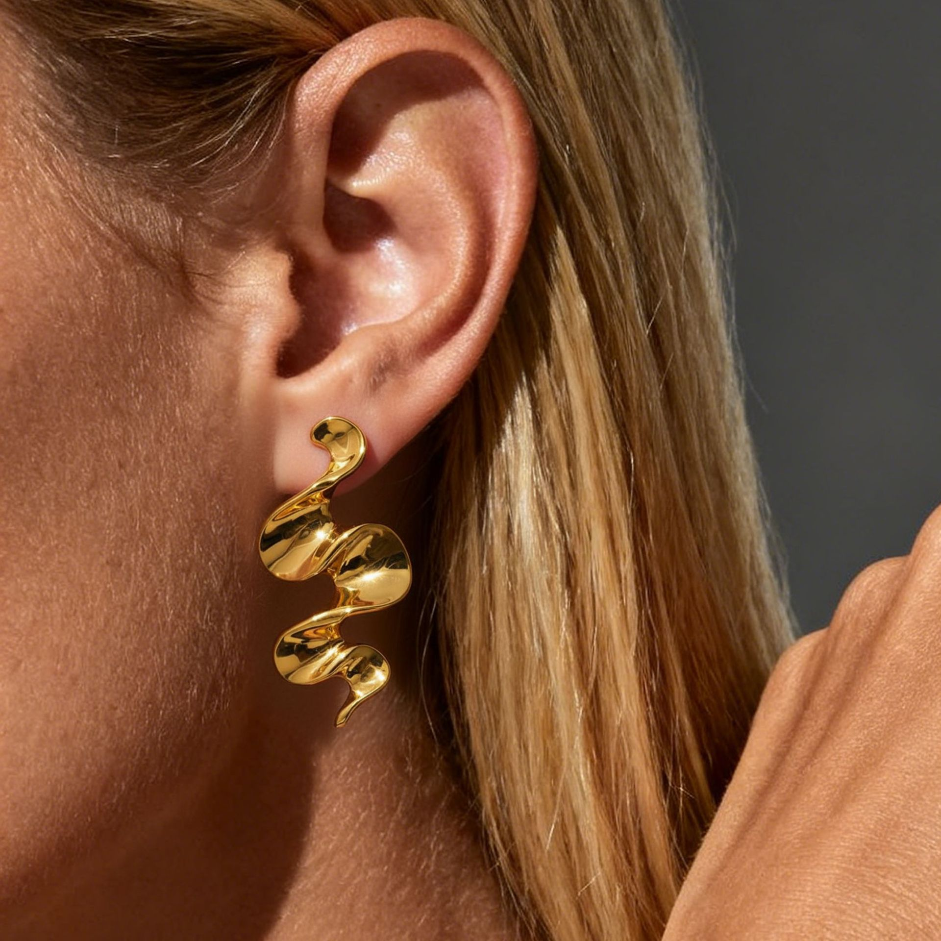 Earrings